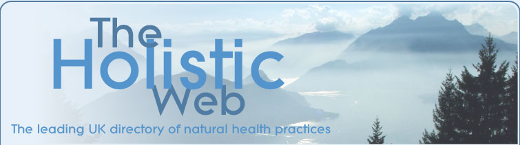 The Holistic Web